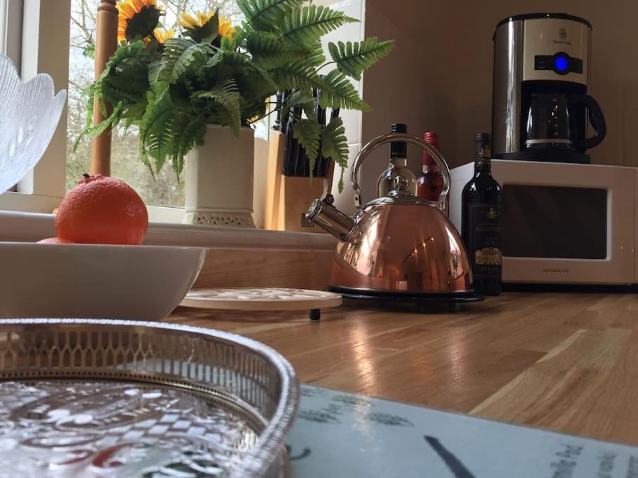 Forestry Cottage. Hot Tub, Open Fire, Dog Friendly Gaywood Extérieur photo