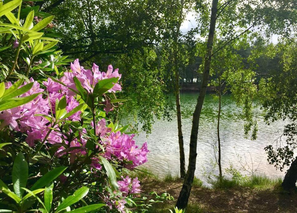 Forestry Cottage. Hot Tub, Open Fire, Dog Friendly Gaywood Extérieur photo