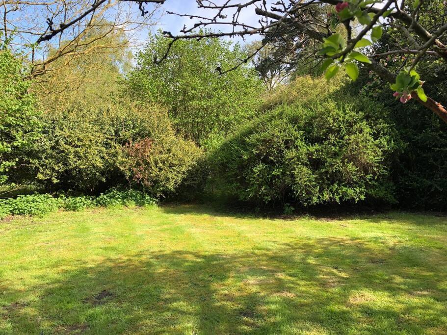 Forestry Cottage. Hot Tub, Open Fire, Dog Friendly Gaywood Extérieur photo